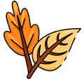 fall-leaves
